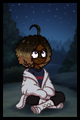 Nova